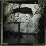 Thumbnail image of item number 1 in: 'Glass Slide of Dying Lion Monument (Lucerne, Switzerland)'.
