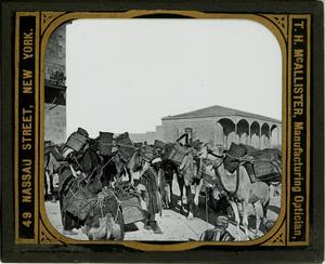 Glass slide of a Camel Caravan outside of Jerusalem (Israel)