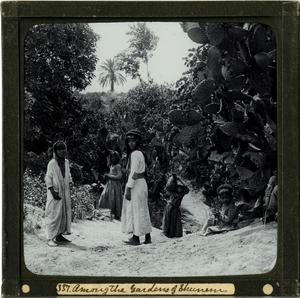 Primary view of object titled 'Glass Slide - "Among the Gardens of Shunem"'.