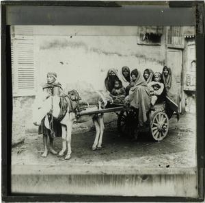Glass Slide of Arab  Family on Donkey Cart