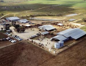 Aerial Photograph of Farm on FM 604 (Callahan County, Texas)