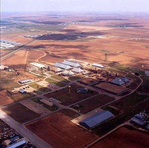 Primary view of object titled 'Aerial Photograph of the ACCO Feeds Plant (Lubbock, Texas)'.