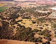 Primary view of Aerial Photograph of West Texas Rangeland