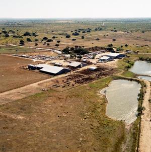 Primary view of object titled 'Aerial Photograph of Weldon Edwards Livestock Auction (Clyde, TX)'.