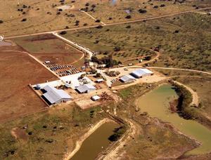 Aerial Photograph of Weldon Edwards Farm (Callahan County, Texas)