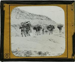 Primary view of object titled 'Glass Slide - “Going to Market” (Palestine)'.