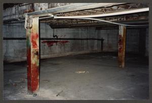 Primary view of object titled '[Basement Room with Exposed Pipes]'.