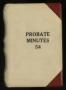 Book: Travis County Probate Records: Probate Minutes 54