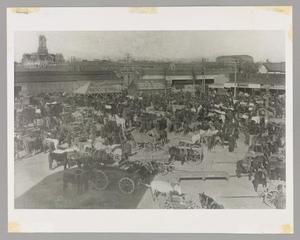 [Horses and Carts in Cleburne's Market Square]
