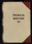 Thumbnail image of item number 1 in: 'Travis County Probate Records: Probate Minutes 60'.