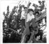 Photograph: [Children with Diana Gonzalez in Emily Fowler Library Tree House]