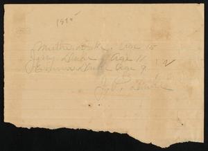 Primary view of object titled '[Splendora School Census List: June 21, 1895]'.