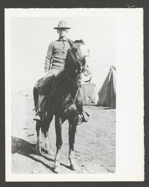 [Cavalry Soldier on Horse]