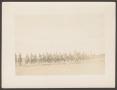 Thumbnail image of item number 1 in: '[U.S. Army 14th Calvary Riding Lined Up on Horseback]'.