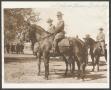 Photograph: [Cavalry Soldiers Riding Horses]