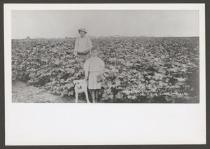 Primary view of object titled '[Man, Girl, and Dog in Field]'.