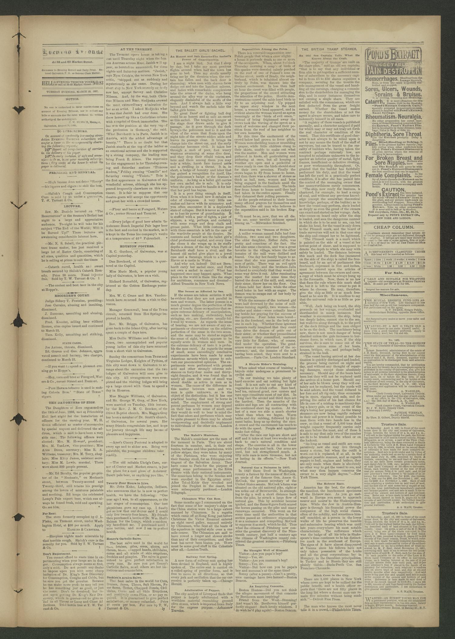 Evening Tribune. (Galveston, Tex.), Vol. 7, No. 167, Ed. 1 Tuesday, March 22, 1887
                                                
                                                    [Sequence #]: 3 of 4
                                                