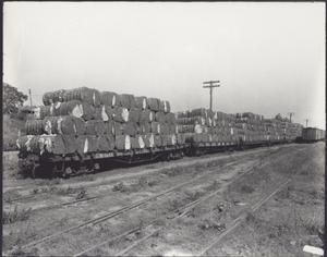 Primary view of object titled '[Cotton bales on a rail platform]'.