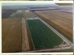 [Aerial View of Farms]
