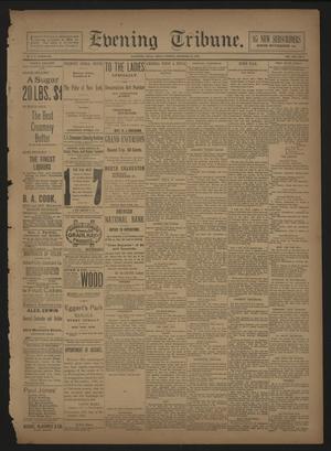 Primary view of object titled 'Evening Tribune. (Galveston, Tex.), Vol. 13, No. 3, Ed. 1 Friday, November 25, 1892'.
