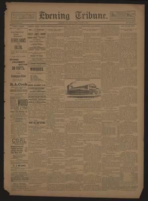 Primary view of object titled 'Evening Tribune. (Galveston, Tex.), Vol. 13, No. 51, Ed. 1 Friday, January 20, 1893'.