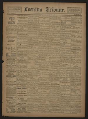 Primary view of object titled 'Evening Tribune. (Galveston, Tex.), Vol. 13, No. 165, Ed. 1 Friday, June 2, 1893'.