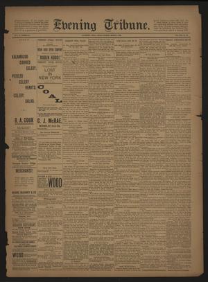 Evening Tribune. (Galveston, Tex.), Vol. 13, No. 87, Ed. 1 Friday, March 3, 1893