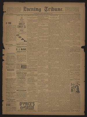 Primary view of object titled 'Evening Tribune. (Galveston, Tex.), Vol. 13, No. 78, Ed. 1 Tuesday, February 21, 1893'.