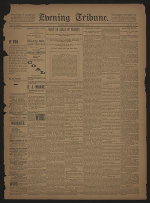 Primary view of object titled 'Evening Tribune. (Galveston, Tex.), Vol. 13, No. 75, Ed. 1 Friday, February 17, 1893'.