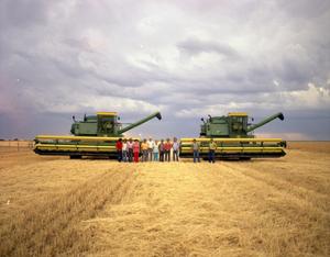 [Wheat Harvest at the Brown Farm]