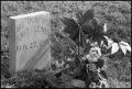 Photograph: [Headstone of Bill Crawford & Elmer Lewis]