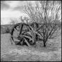 Primary view of [Abandoned Wagon Axle by Tree]