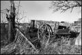 Photograph: [Scene From Old Homestead-Nocona]