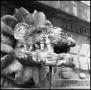 Photograph: [Dragon Head at Mexican Temple]