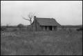 Thumbnail image of item number 1 in: '[Abandoned House in Graham]'.