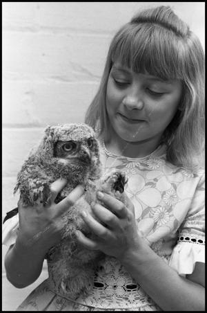 Darlene Davis Pet Owl