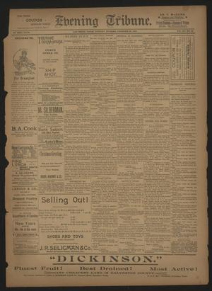 Evening Tribune. (Galveston, Tex.), Vol. 14, No. 25, Ed. 1 Tuesday, December 26, 1893