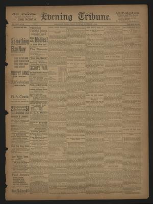 Primary view of object titled 'Evening Tribune. (Galveston, Tex.), Vol. 13, No. 296, Ed. 1 Friday, November 3, 1893'.