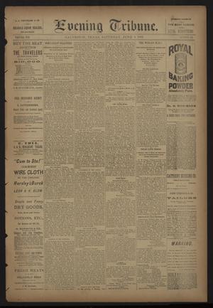 Primary view of object titled 'Evening Tribune. (Galveston, Tex.), Vol. 8, No. 183, Ed. 1 Saturday, June 9, 1888'.