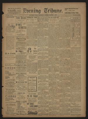 Evening Tribune. (Galveston, Tex.), Vol. 14, No. 62, Ed. 1 Wednesday, February 7, 1894