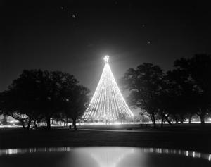 Primary view of object titled '[World's Tallest Christmas Tree at Zilker Park]'.