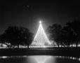 Thumbnail image of item number 1 in: '[World's Tallest Christmas Tree at Zilker Park]'.