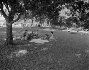 Primary view of object titled '[July Fourth at Zilker]'.