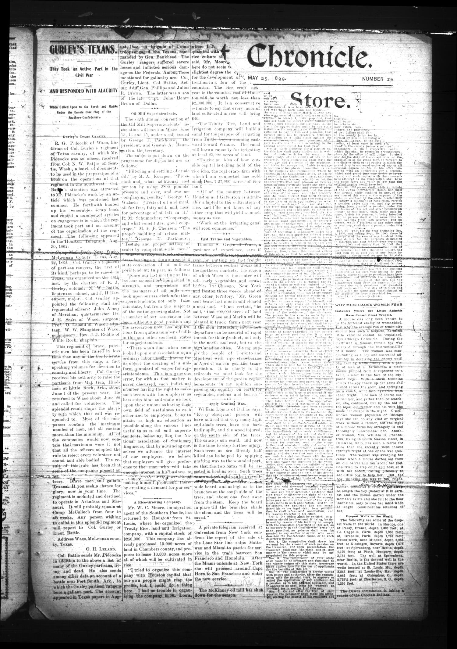 Wills Point Chronicle. (Wills Point, Tex.), Vol. 22, No. 20, Ed. 1 Thursday, May 18, 1899
                                                
                                                    [Sequence #]: 7 of 8
                                                