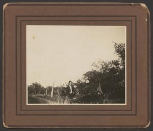 [Photograph of a Man in a Horse Drawn Buggy]