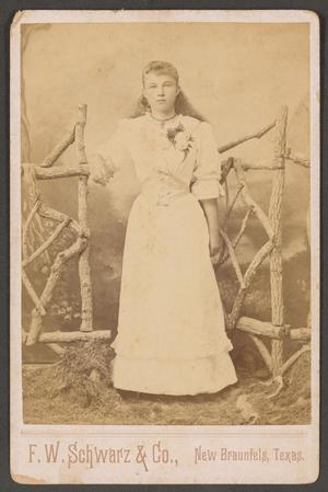[Portrait of a Young Woman in a Light Dress]