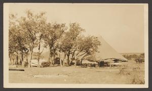 [Photograph of a Large Tent Surrounded by Trees]