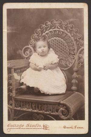 [Photograph of an Unknown Small Child]