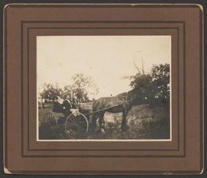 [Photograph of a Man in a Horse Drawn Buggy #2]