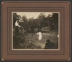 [Photograph of a Woman With a Horse and Buggy]